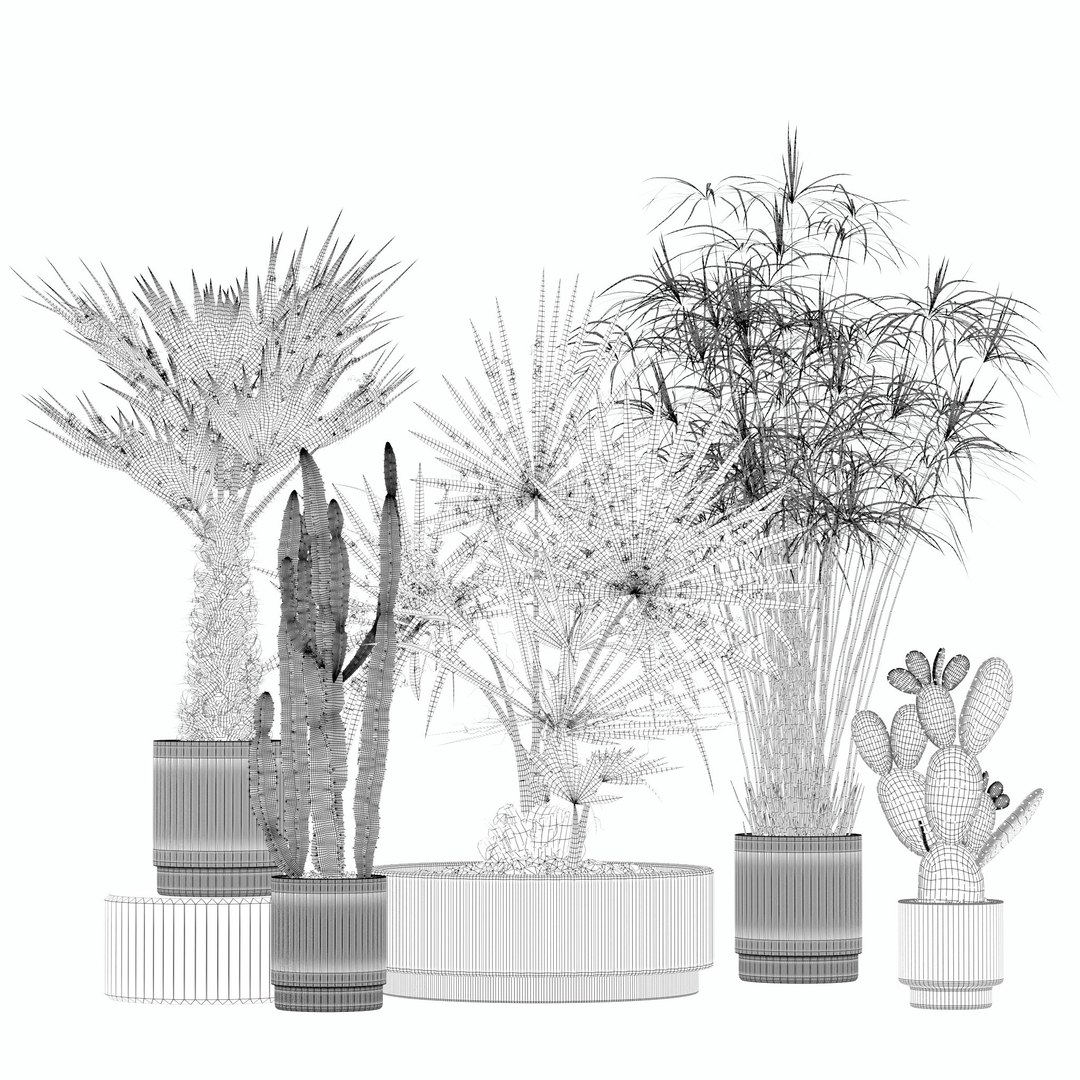 Plants collection 218 - palm grass cactus papirus 3D https://p.turbosquid.com/ts-thumb/Ej/vJ4OZF/DN/23/jpg/1718784312/1920x1080/fit_q87/0a6f21bbe03fd3071d5643ed2299efa1d843a3ab/23.jpg