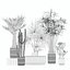 5 Minimalist Ceramic Potted Sansevieria and Calathea Plants - Set 218