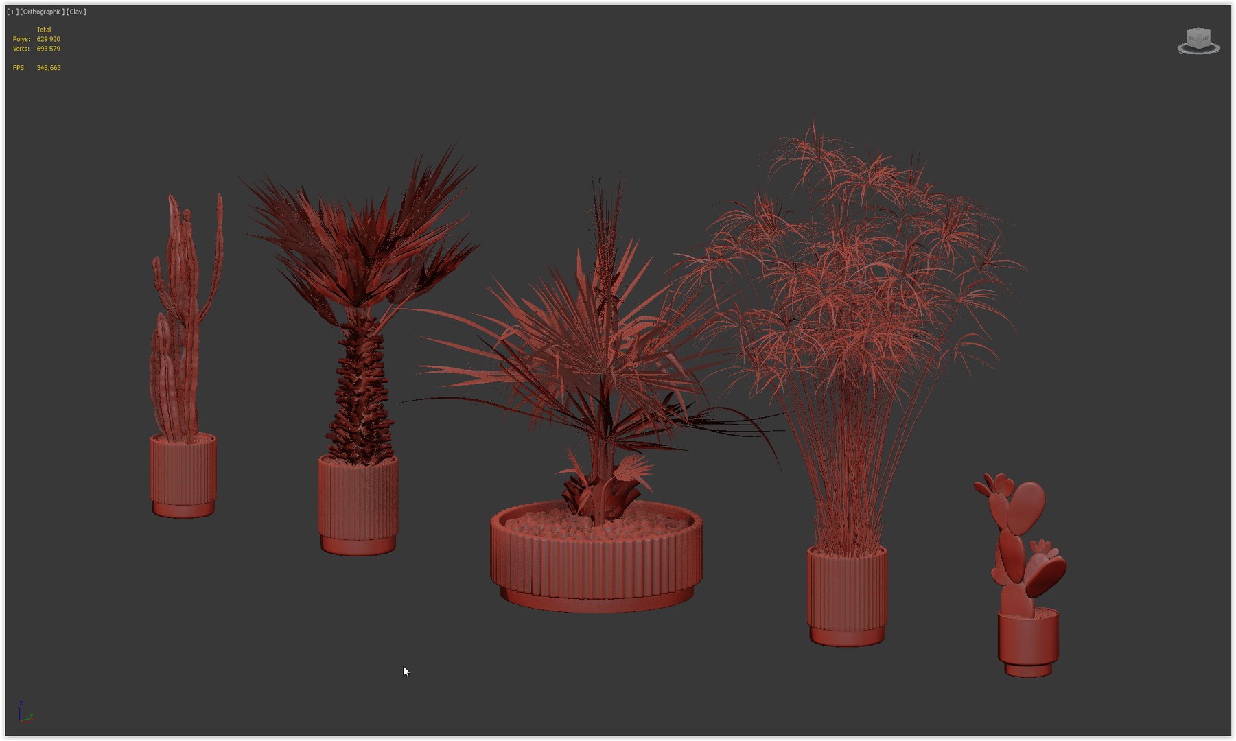 Plants collection 218 - palm grass cactus papirus 3D https://p.turbosquid.com/ts-thumb/Ej/vJ4OZF/JD/25/png/1718784312/1920x1080/fit_q87/3371c6559096e9b067579f28e75f45f81eb84ae8/25.jpg