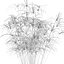 5 Minimalist Ceramic Potted Sansevieria and Calathea Plants - Set 218