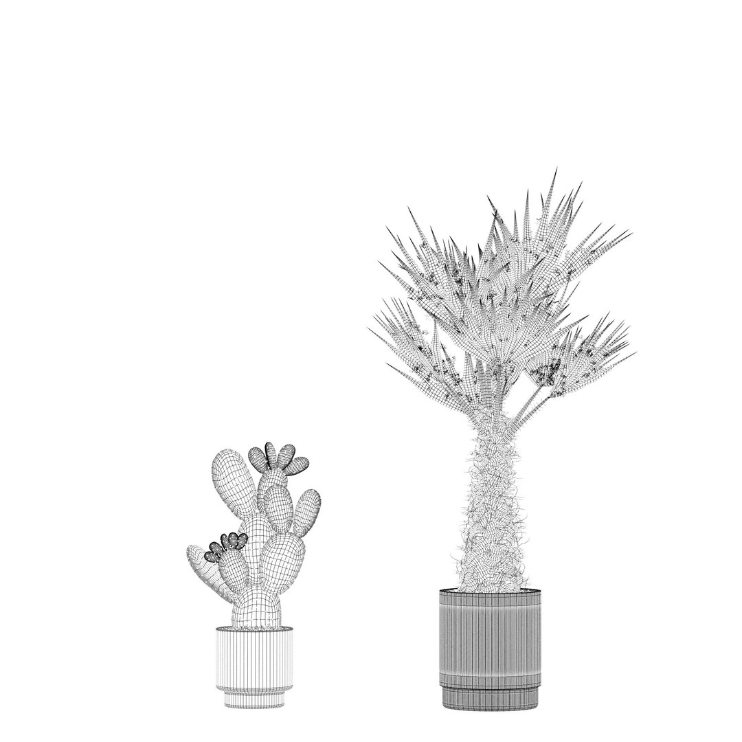 Plants collection 218 - palm grass cactus papirus 3D https://p.turbosquid.com/ts-thumb/Ej/vJ4OZF/PU/11/jpg/1718784290/1920x1080/fit_q87/056fb7490b3715c2800663a247314e0423368394/11.jpg