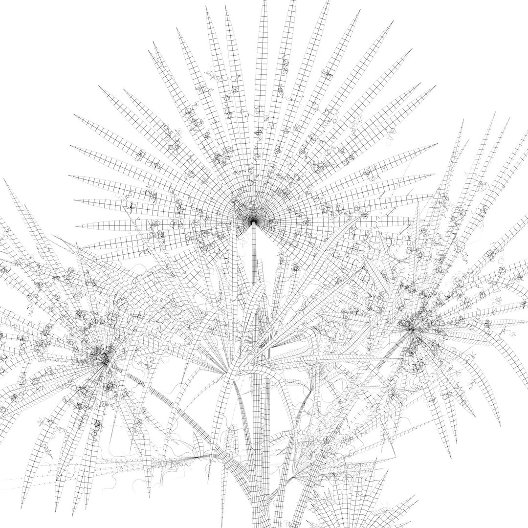 Plants collection 218 - palm grass cactus papirus 3D https://p.turbosquid.com/ts-thumb/Ej/vJ4OZF/TA/21/jpg/1718784306/1920x1080/fit_q87/4b3b2df6731b4bac307e0e7f9d1921f7bde4bf8b/21.jpg