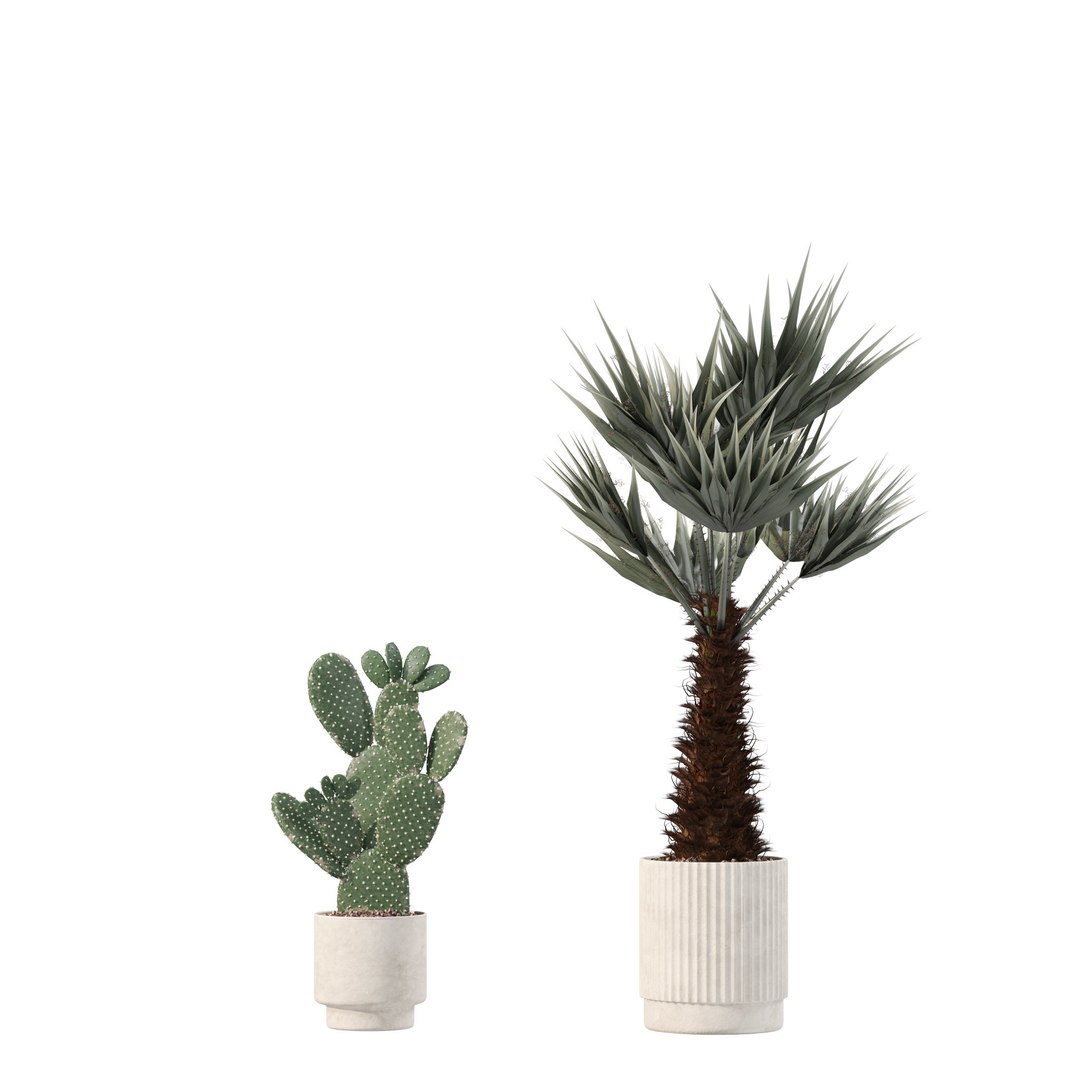 Plants collection 218 - palm grass cactus papirus 3D https://p.turbosquid.com/ts-thumb/Ej/vJ4OZF/aC/2/jpg/1718784175/1920x1080/fit_q87/cf3d0a576d2c486bd5e8b215982c52e841f47a9f/2.jpg