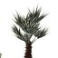 5 Minimalist Ceramic Potted Sansevieria and Calathea Plants - Set 218