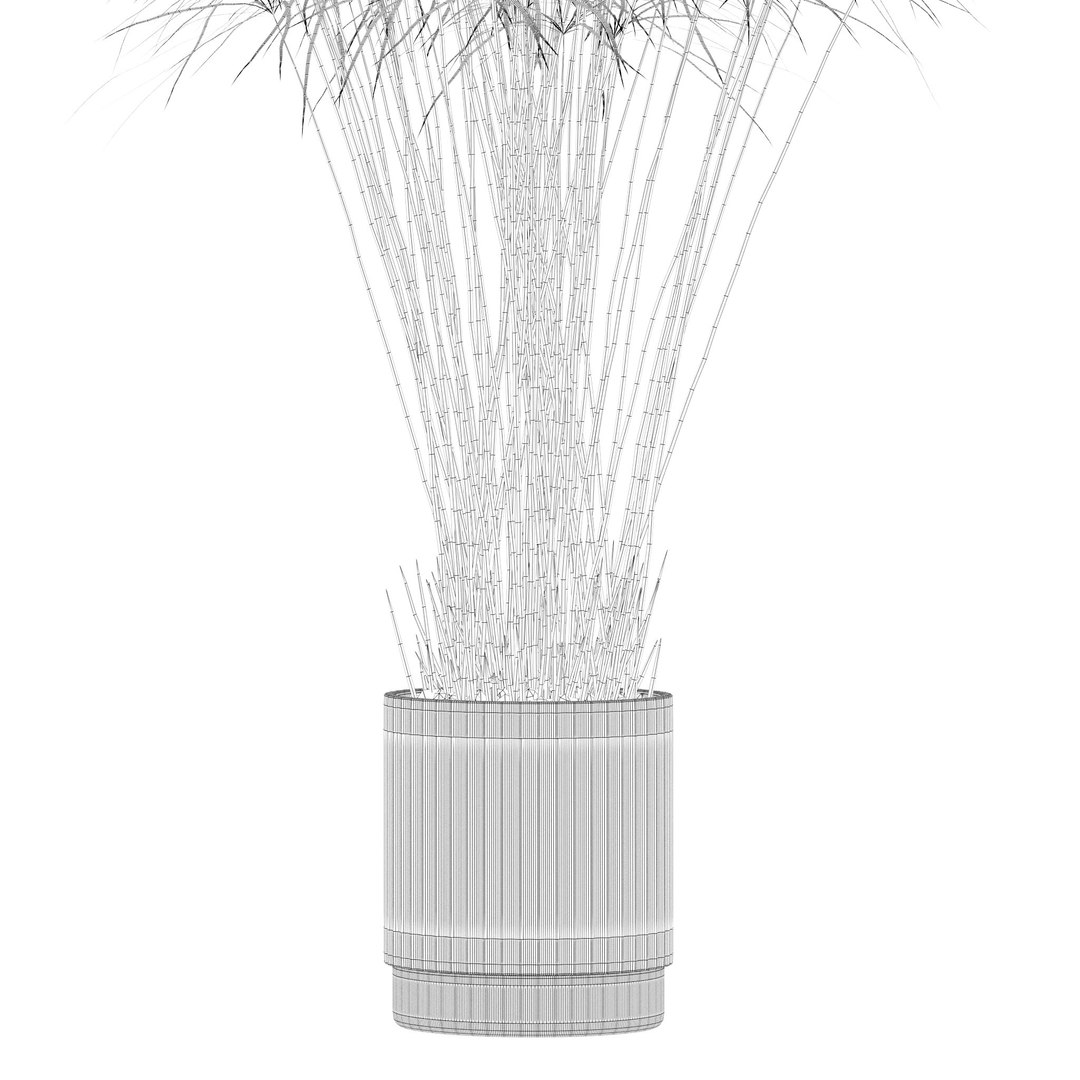Plants collection 218 - palm grass cactus papirus 3D https://p.turbosquid.com/ts-thumb/Ej/vJ4OZF/ex/16/jpg/1718784297/1920x1080/fit_q87/a52183dec010fd3b3b493e0f592d405904ee9d87/16.jpg