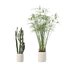 5 Minimalist Ceramic Potted Sansevieria and Calathea Plants - Set 218