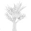 5 Minimalist Ceramic Potted Sansevieria and Calathea Plants - Set 218