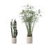 5 Minimalist Ceramic Potted Sansevieria and Calathea Plants - Set 218
