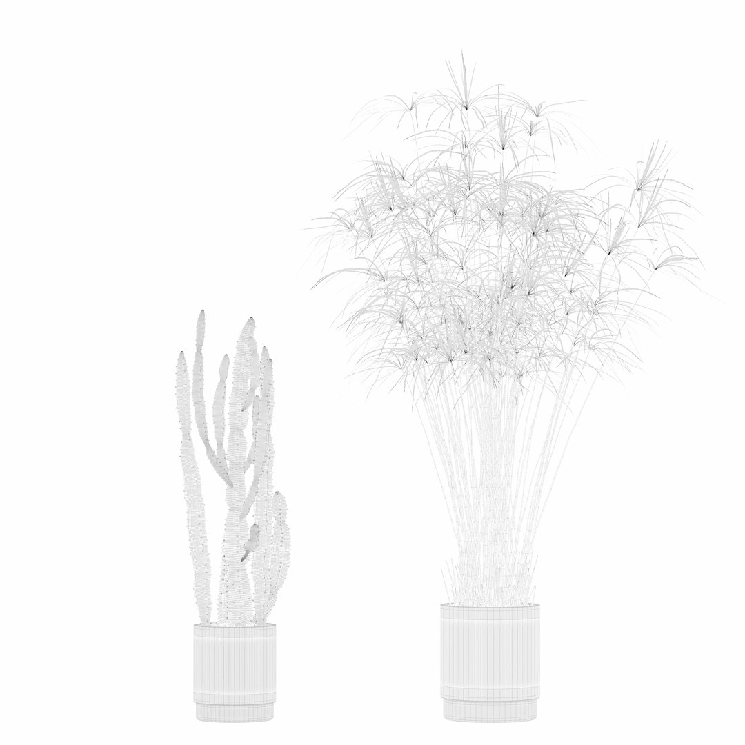 Plants collection 218 - palm grass cactus papirus 3D https://p.turbosquid.com/ts-thumb/Ej/vJ4OZF/qS/4_ctexmap/png/1718784297/1920x1080/fit_q87/b06e3c6806222b70713987028ec15ffa3e555fac/4_ctexmap.jpg
