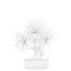 5 Minimalist Ceramic Potted Sansevieria and Calathea Plants - Set 218
