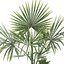 5 Minimalist Ceramic Potted Sansevieria and Calathea Plants - Set 218