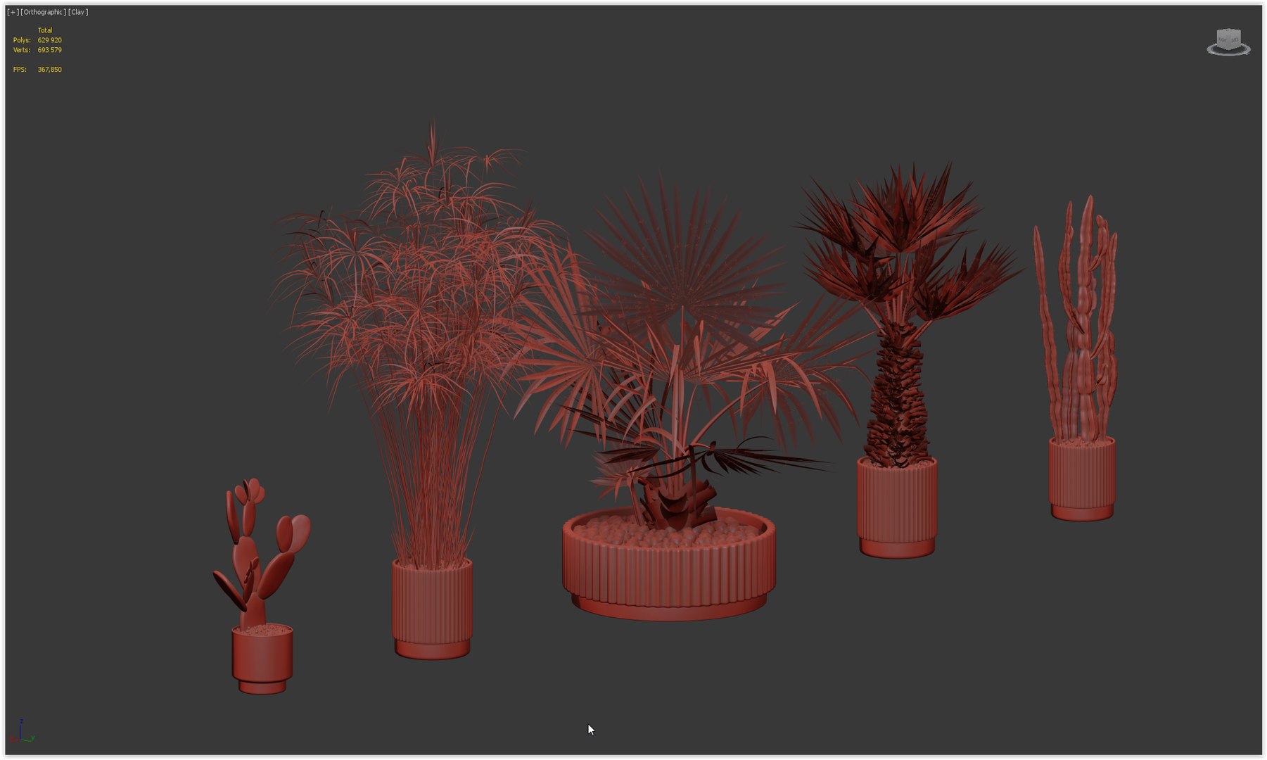 Plants collection 218 - palm grass cactus papirus 3D https://p.turbosquid.com/ts-thumb/Ej/vJ4OZF/xR/26/png/1718784316/1920x1080/fit_q87/849dc5d62d0d91602ab88e89dfa388be3a39745f/26.jpg