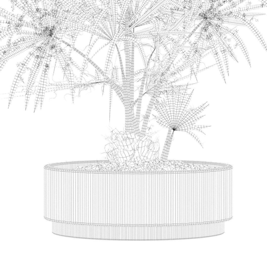 Plants collection 218 - palm grass cactus papirus 3D https://p.turbosquid.com/ts-thumb/Ej/vJ4OZF/z9/22/jpg/1718784307/1920x1080/fit_q87/e2d79cf13806947dd5464f34f249258803247901/22.jpg
