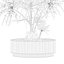 5 Minimalist Ceramic Potted Sansevieria and Calathea Plants - Set 218