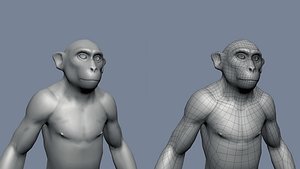 Monkey Basemesh 3D