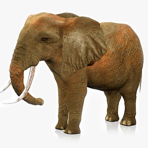 African Elephant RIGGED L2253 3D