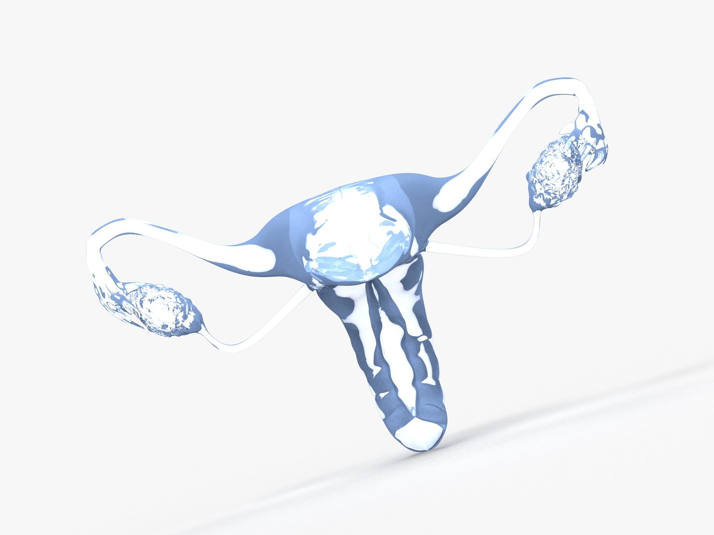 3D female reproductive uterus model https://p.turbosquid.com/ts-thumb/Ek/RUJWJ2/FagQw5Lq/0.282/jpg/1563997185/1920x1080/fit_q87/cfb7310e4746b2865bacf4990663ffa941be33e0/0.282.jpg