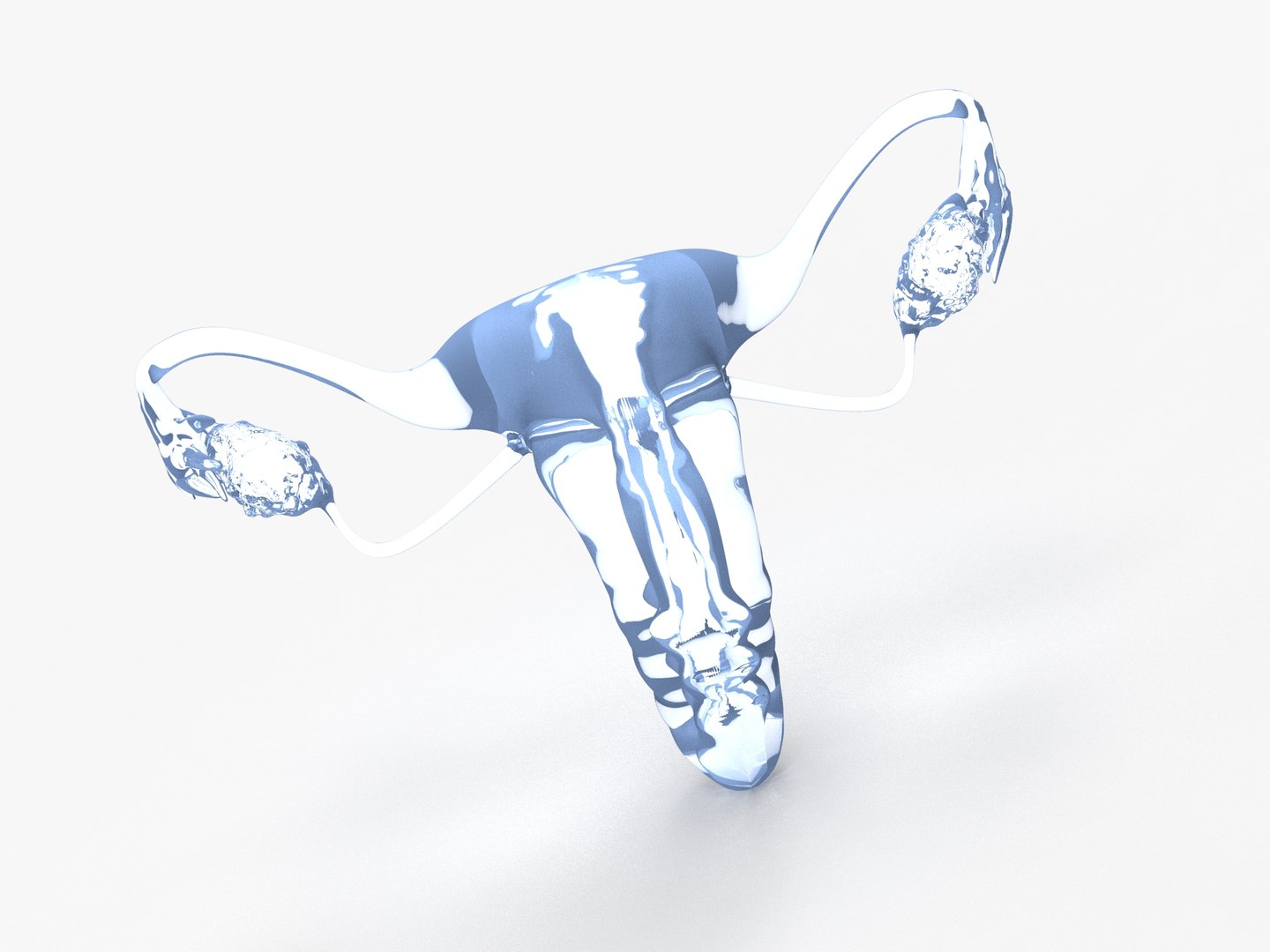 3D female reproductive uterus model https://p.turbosquid.com/ts-thumb/Ek/RUJWJ2/ODdmMY8j/0.281/jpg/1563997185/1920x1080/fit_q87/28caf639d2b499dc5216700cead5d9e0ee15c3cf/0.281.jpg