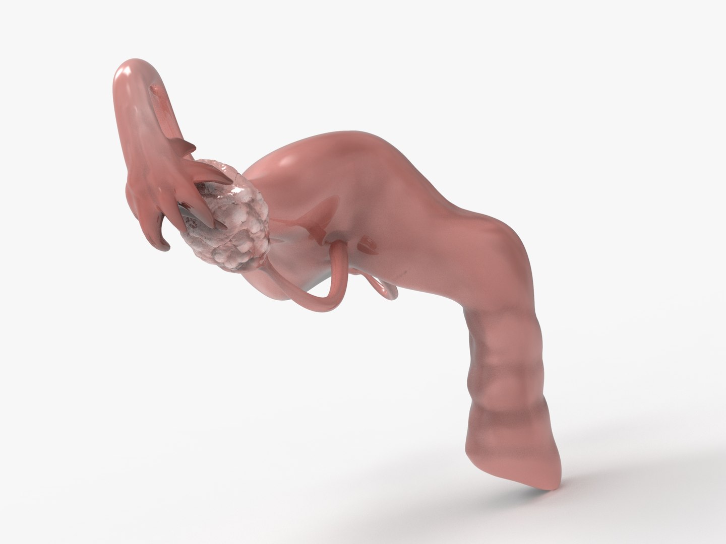 3D female reproductive uterus model https://p.turbosquid.com/ts-thumb/Ek/RUJWJ2/pbpOBbgl/0.287/jpg/1563997183/1920x1080/fit_q87/2fabb469428ecd35682579f16a7dfbebed37aeb7/0.287.jpg