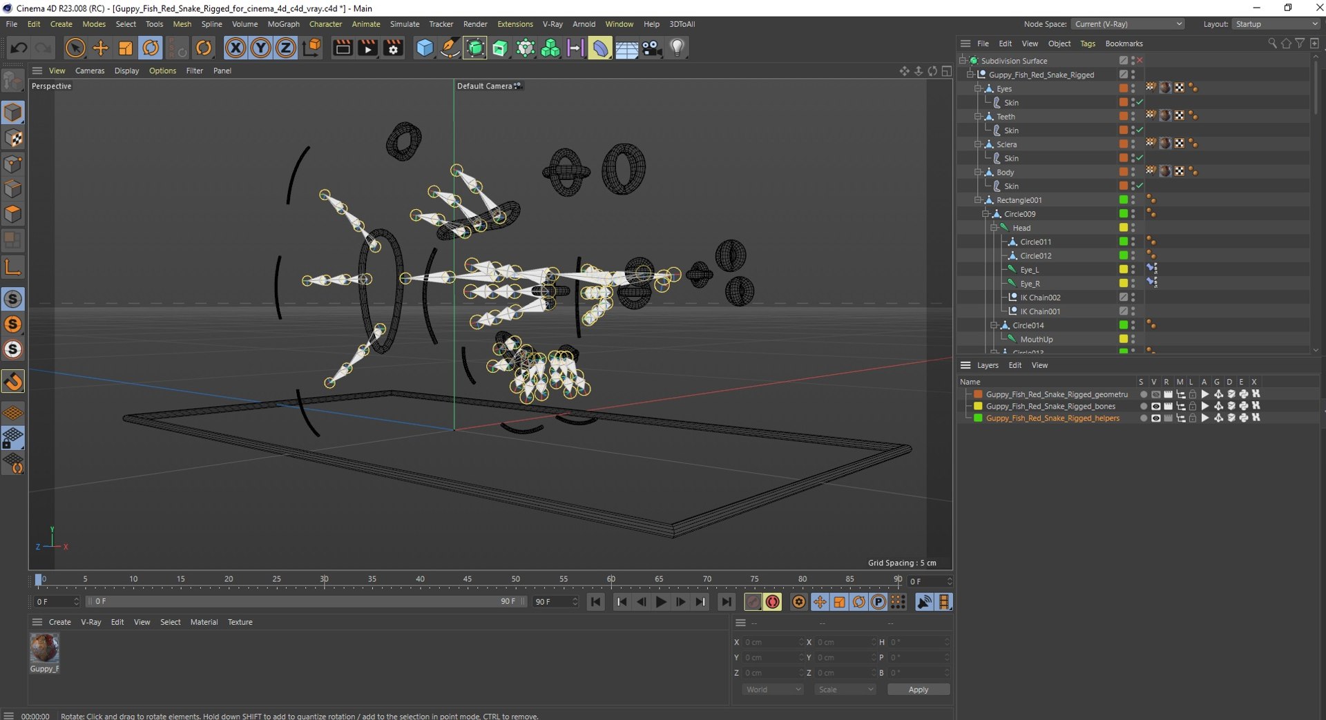 Guppy Fish Red Snake Rigged for Cinema 4D 3D https://p.turbosquid.com/ts-thumb/Ek/dR1MKT/43/guppyfishredsnakeriggedforcinema4dc4dmodel040/jpg/1725551117/1920x1080/fit_q87/7fe0ff842b9a7e8a56a6728cab0e8c3ba148b8b2/guppyfishredsnakeriggedforcinema4dc4dmodel040.jpg