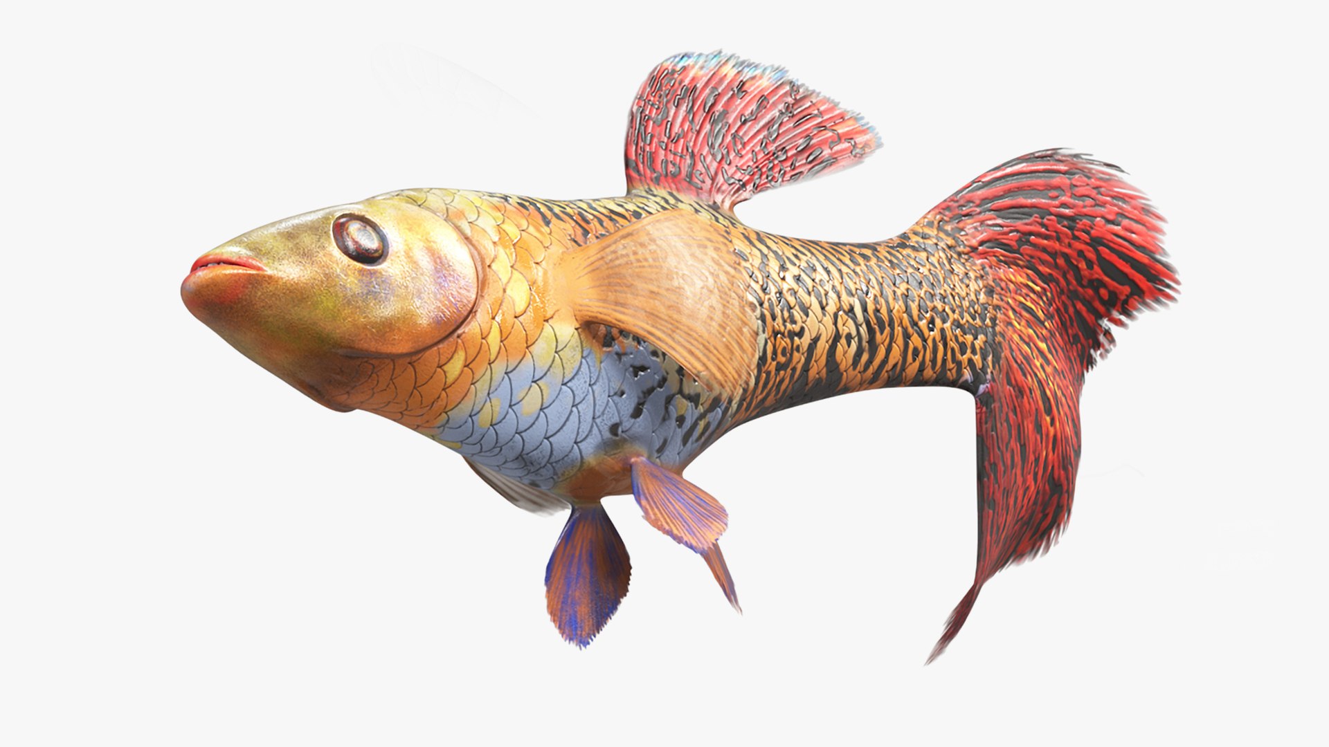 Guppy Fish Red Snake Rigged for Cinema 4D 3D model preview
