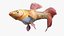 Guppy Fish Red Snake Rigged for Cinema 4D