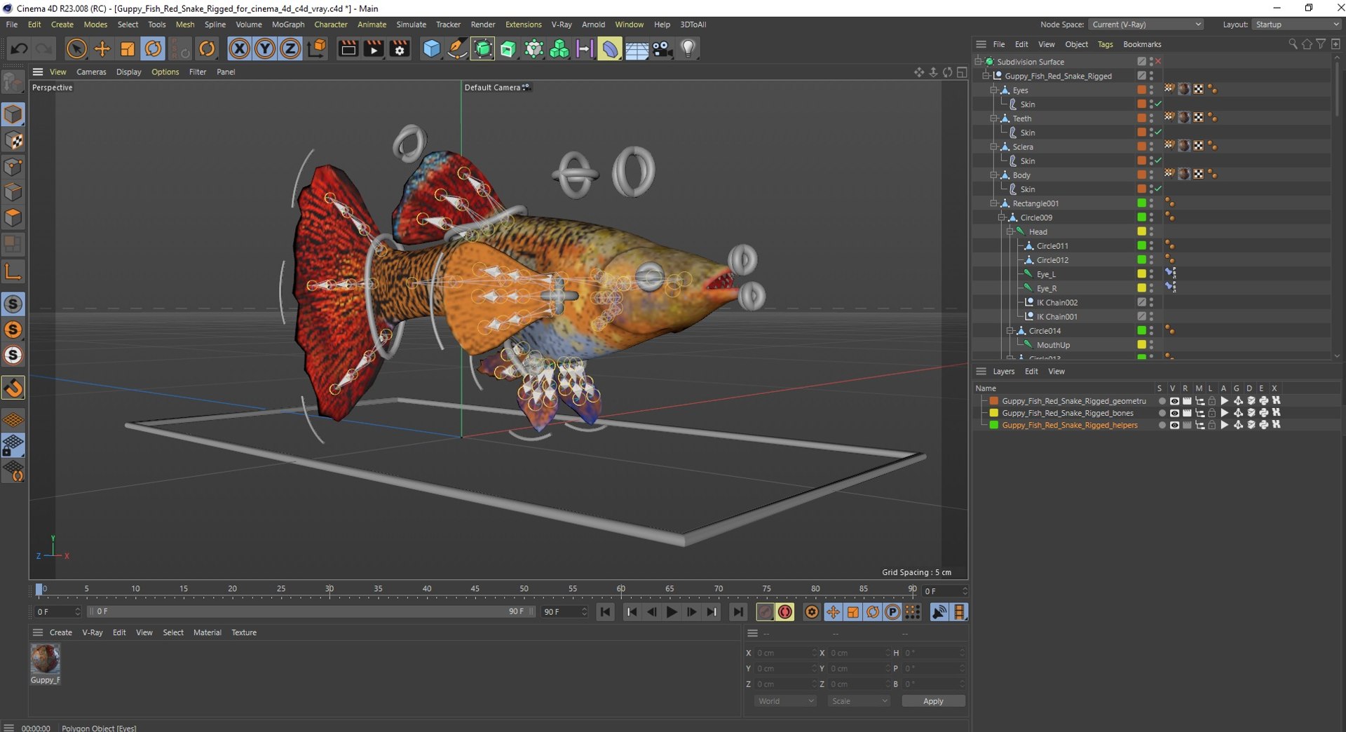 Guppy Fish Red Snake Rigged for Cinema 4D 3D https://p.turbosquid.com/ts-thumb/Ek/dR1MKT/D7/guppyfishredsnakeriggedforcinema4dc4dmodel038/jpg/1725551107/1920x1080/fit_q87/45d337c8cc4cf22e08034c4afef7cf9f3e2074b0/guppyfishredsnakeriggedforcinema4dc4dmodel038.jpg