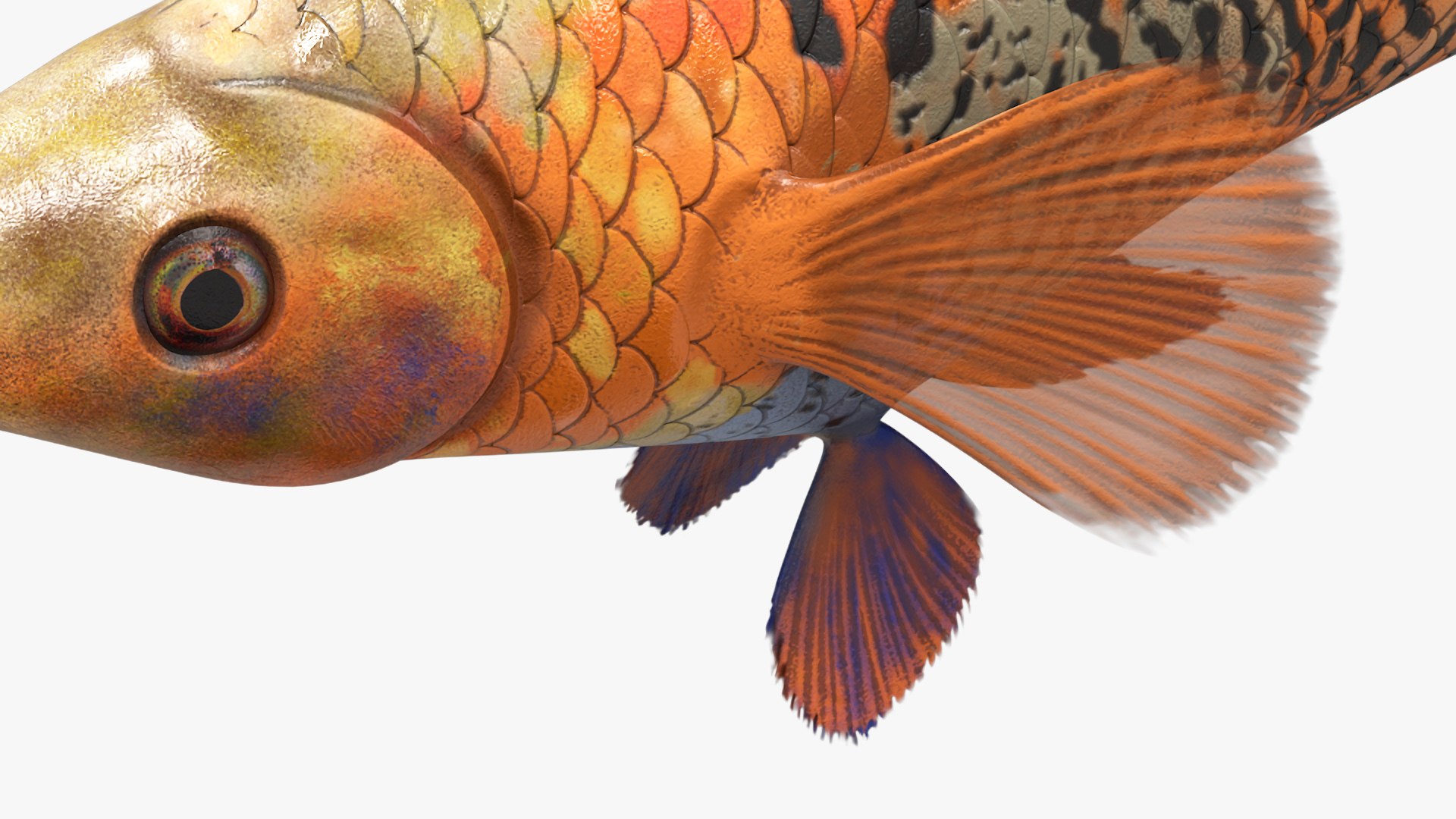 Guppy Fish Red Snake Rigged for Cinema 4D 3D https://p.turbosquid.com/ts-thumb/Ek/dR1MKT/DJ/guppyfishredsnakeriggedforcinema4dc4dmodel022/jpg/1725551032/1920x1080/fit_q87/0989078f49647cf1a55968fd774079b3fd52ea03/guppyfishredsnakeriggedforcinema4dc4dmodel022.jpg