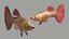 Guppy Fish Red Snake Rigged for Cinema 4D