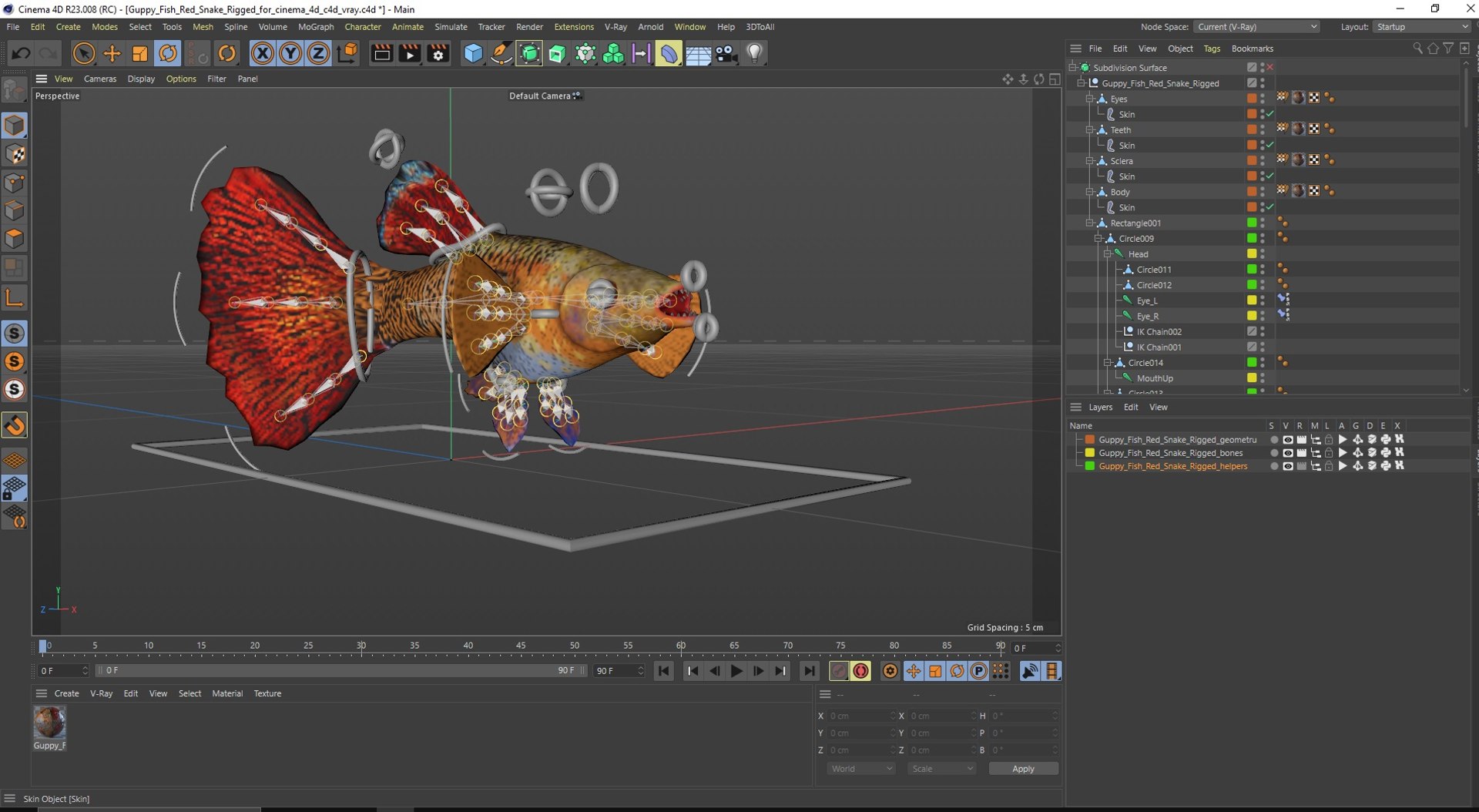 Guppy Fish Red Snake Rigged for Cinema 4D 3D https://p.turbosquid.com/ts-thumb/Ek/dR1MKT/ag/guppyfishredsnakeriggedforcinema4dc4dmodel041/jpg/1725551122/1920x1080/fit_q87/b79dc989e1d6d83bb9f47a4634ea47677bef72ce/guppyfishredsnakeriggedforcinema4dc4dmodel041.jpg
