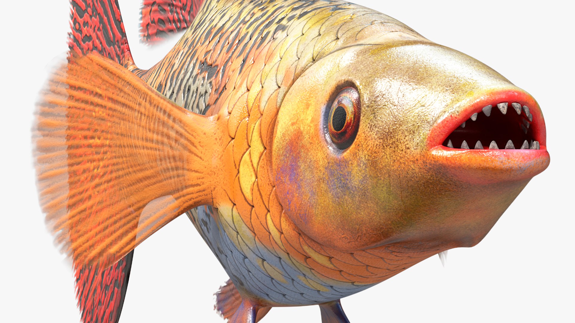 Guppy Fish Red Snake Rigged for Cinema 4D 3D https://p.turbosquid.com/ts-thumb/Ek/dR1MKT/ff/guppyfishredsnakeriggedforcinema4dc4dmodel021/jpg/1725551028/1920x1080/fit_q87/6d896f95c9232c7aeb07b41bd8ecebc4994da36a/guppyfishredsnakeriggedforcinema4dc4dmodel021.jpg