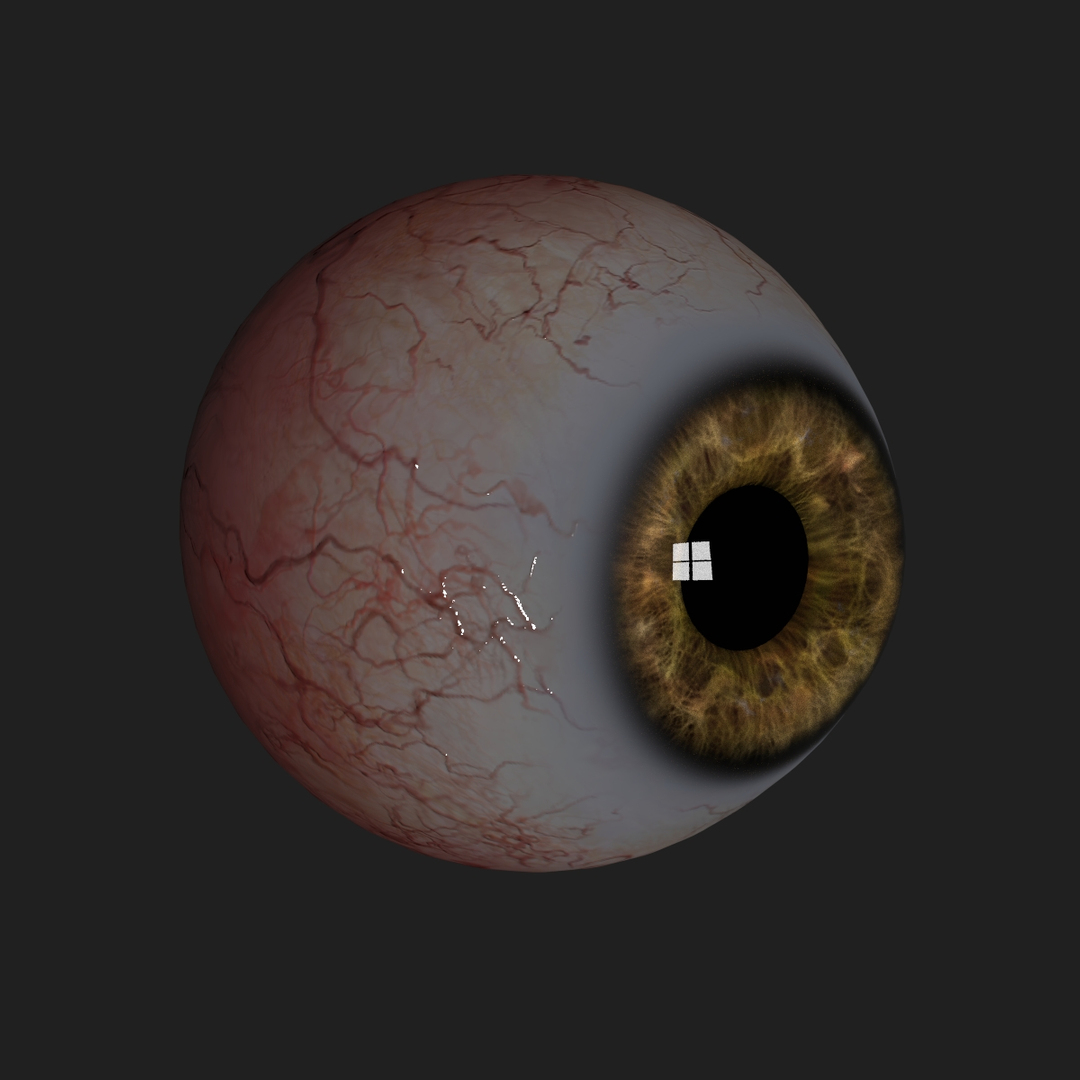 Eyes 3d model
