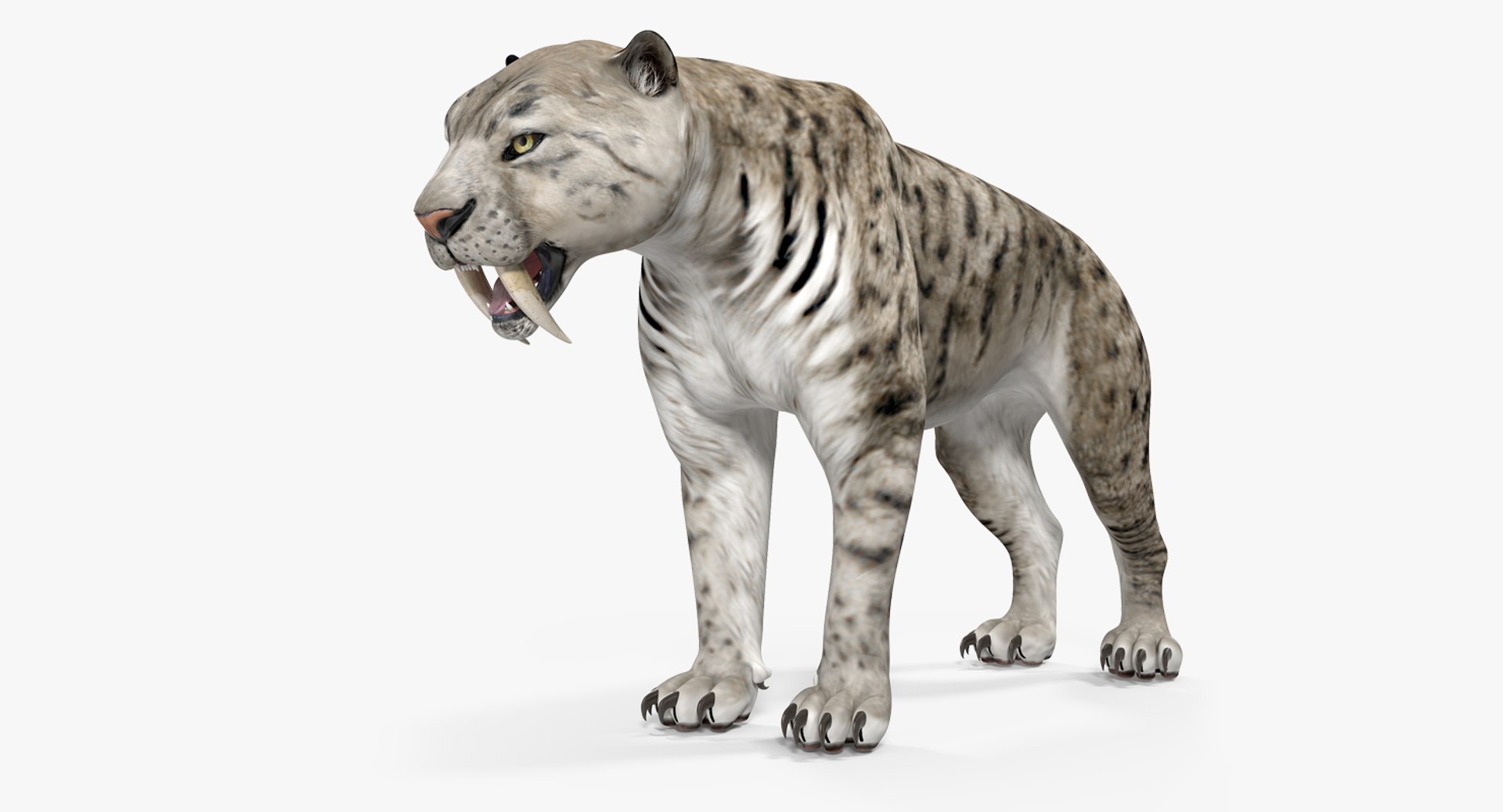 Arctic Saber Tooth Cat 3D model preview