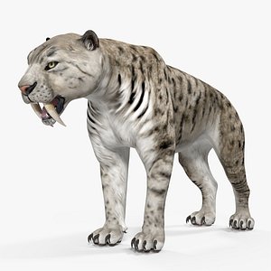 3D arctic saber tooth cat model