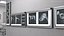 Animal X Rays Set on Lightboxes