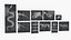 Animal X Rays Set on Lightboxes