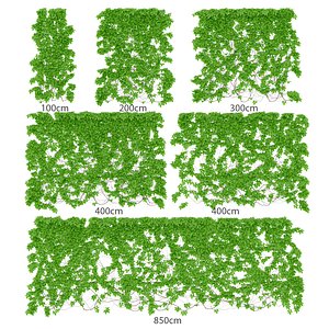 Leaves girlish grapes 6 sizes