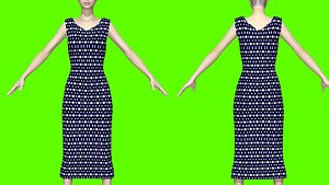 3D woman dress