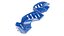 Dental Impression Tray Set