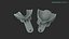 Dental Impression Tray Set