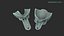 Dental Impression Tray Set