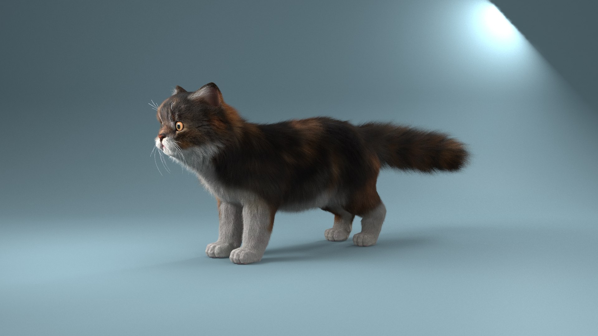 Cat Fur Modeled 3D Model - TurboSquid 1311438