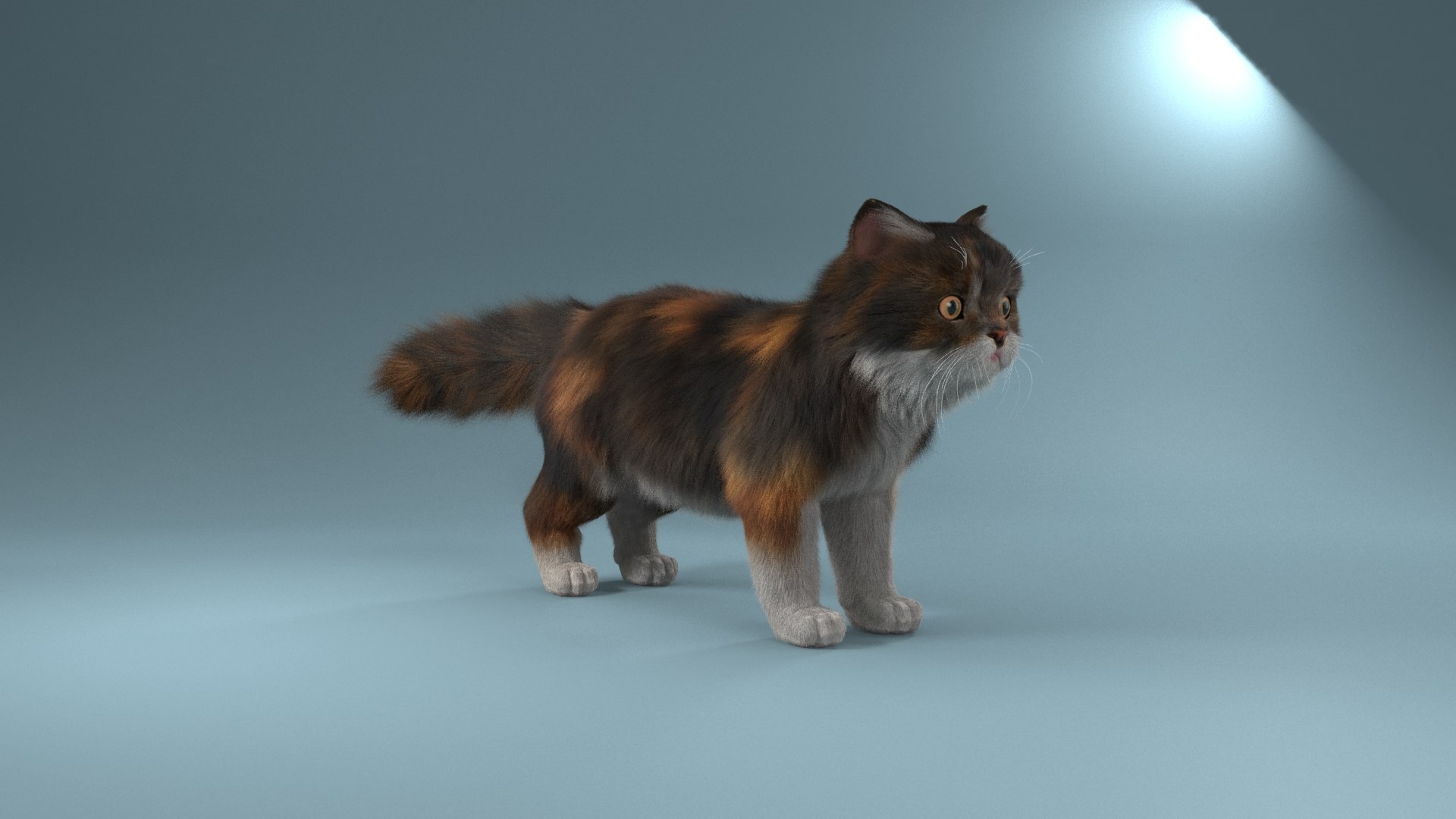 Cat Fur Modeled 3D Model - TurboSquid 1311438