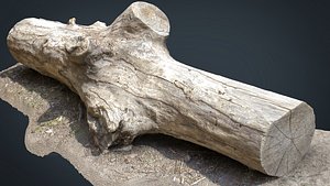 3D model dead trunk