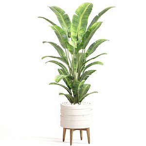 3D model Indoor Plant Set 0128
