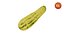 Zucchini Cucurbita pepo - Real-Time 3D Scanned