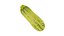 Zucchini Cucurbita pepo - Real-Time 3D Scanned
