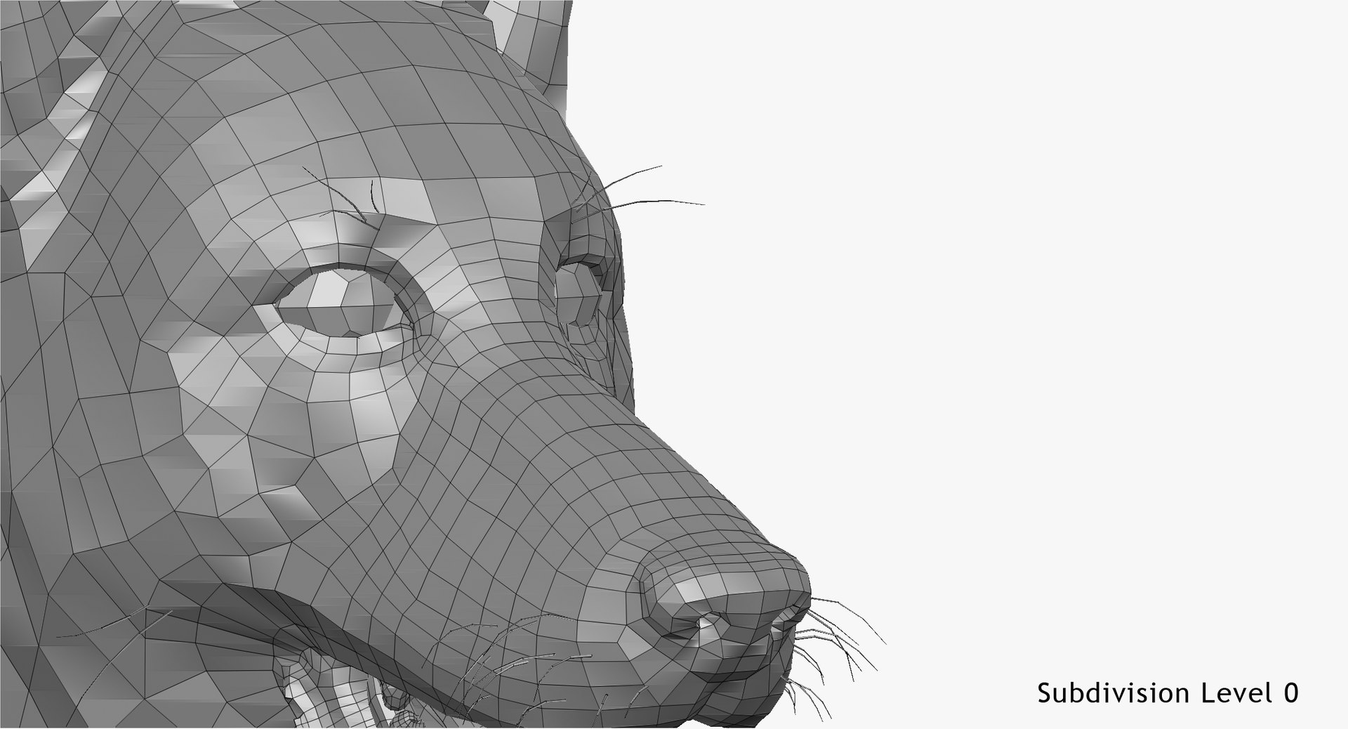 3d obj belgian malinois shepherd dog https://p.turbosquid.com/ts-thumb/El/gD5y5K/11AcrX9X/w7/jpg/1441345413/1920x1080/fit_q87/da03d600f29c19525fc2727ae945580b6ada48a4/w7.jpg
