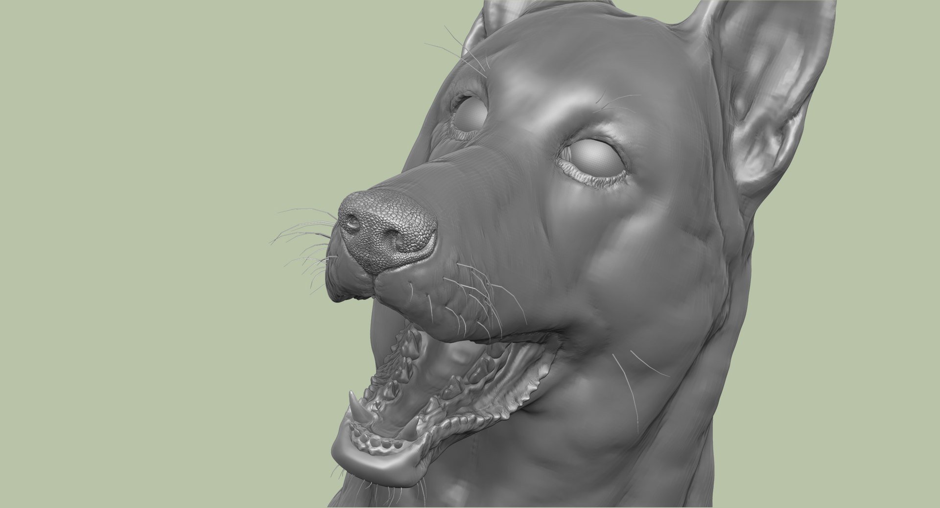 3d obj belgian malinois shepherd dog https://p.turbosquid.com/ts-thumb/El/gD5y5K/1QwWqTkV/15/jpg/1441345413/1920x1080/fit_q87/1f7eb0ed1a004ad7a88f7ba964b58afaf385a9e2/15.jpg