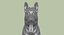 Zbrush Shepherd Dog (벨기에 말리노) UVed